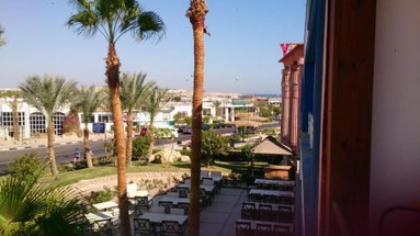 Falcon Naama Blue