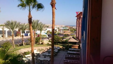 Falcon Naama Blue