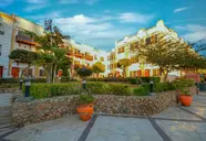 Falcon Naama Star