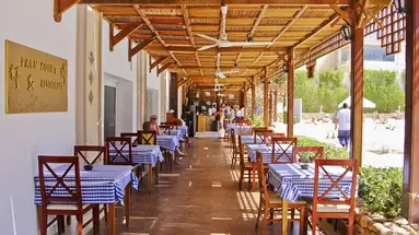 Falcon Naama Star