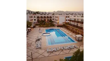 Falcon Naama Star