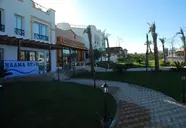 Falcon Naama Star