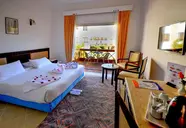 Falcon Naama Star