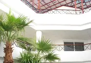 Falcon Naama Star