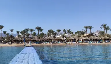 Falcon Naama Star