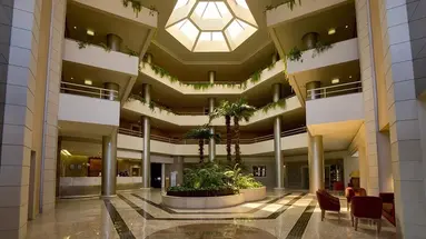 Falesia