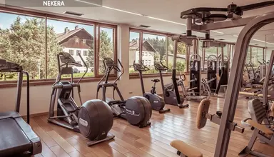 Falkensteiner & Spa Carinzia