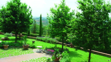 Fattoria di Casalbosco