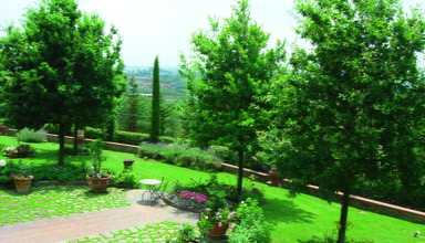 Fattoria di Casalbosco