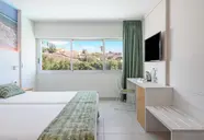 Fergus Cactus Garden