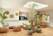 Fergus Style Punta Arabi