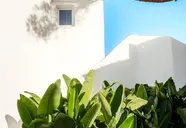 Fergus Style Punta Arabi