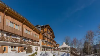 Ferienalm Schladming