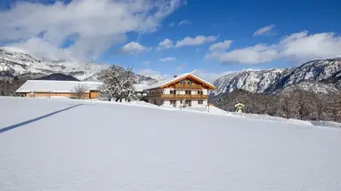 Ferienwohnungen Roislerlehen