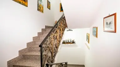 Fernanda
