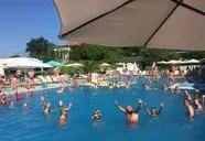 Festa Panorama