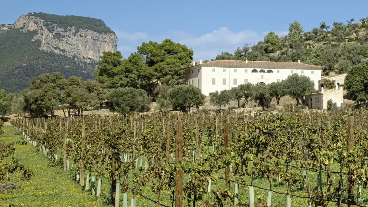 Finca Banyols, Vignette Collection By IHG
