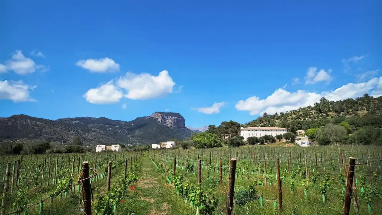 Finca Banyols, Vignette Collection By IHG
