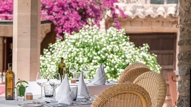 Finca Monnaber Vell