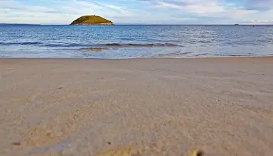 Flamboyan Caribe
