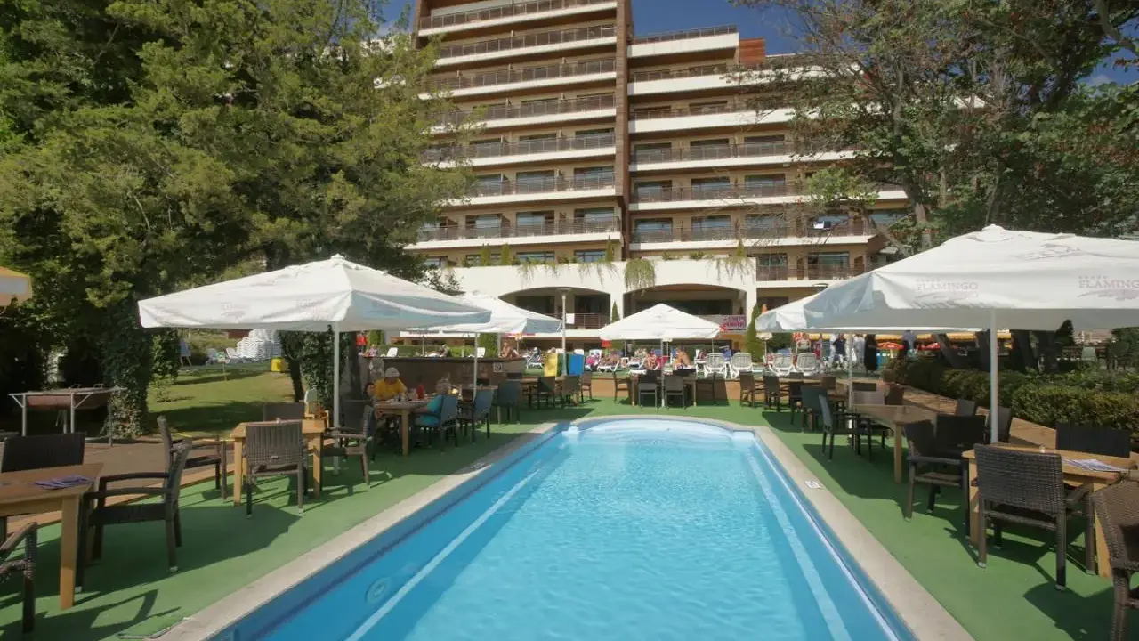 Flamingo Albena