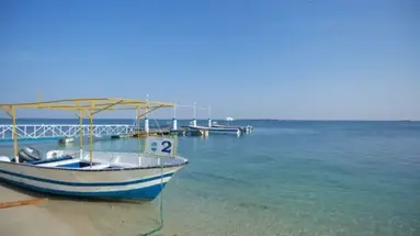 Flamingo Beach Resort