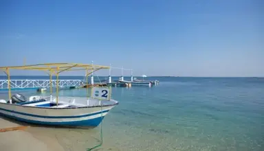 Flamingo Beach Resort
