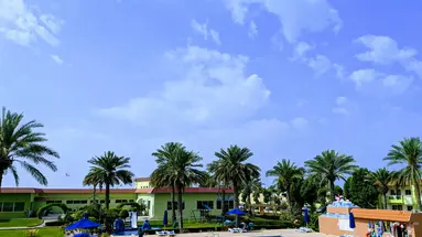 Flamingo Beach Resort