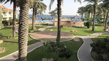 Flamingo Beach Resort