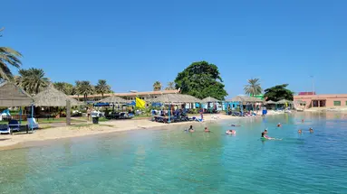 Flamingo Beach Resort