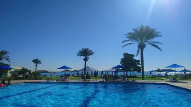 Flamingo Beach Resort
