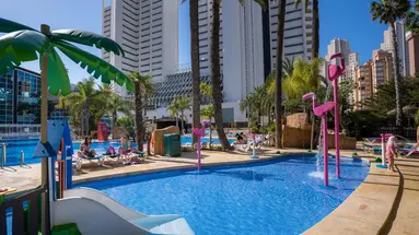 Flamingo Oasis