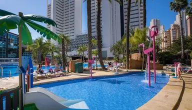 Flamingo Oasis