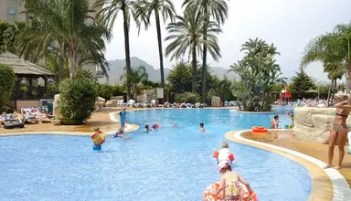 Flamingo Oasis