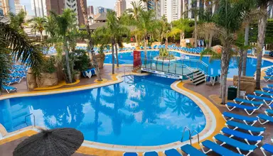 Flamingo Oasis