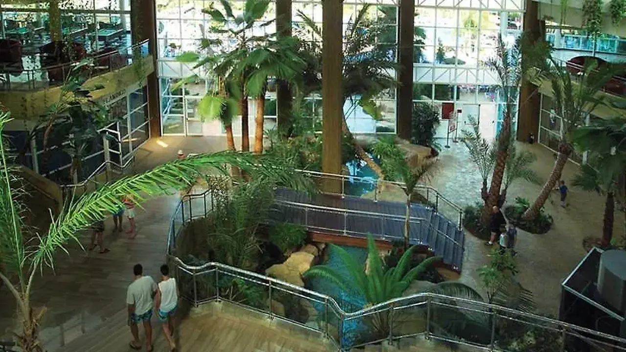 Flamingo Oasis
