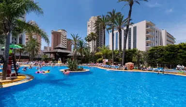 Flamingo Oasis