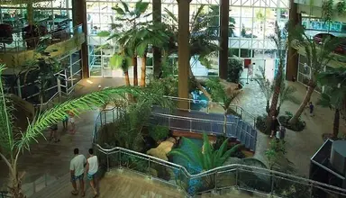 Flamingo Oasis