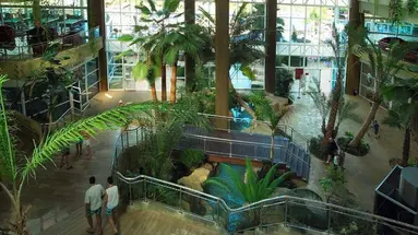 Flamingo Oasis