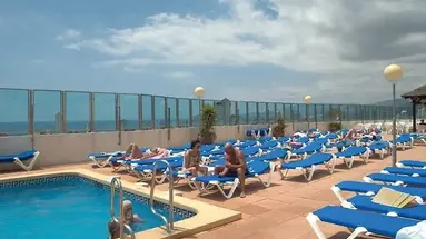 Flamingo Oasis