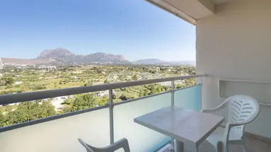 Flamingo Oasis