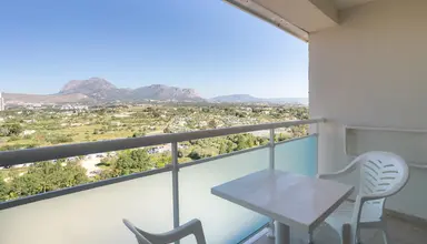 Flamingo Oasis