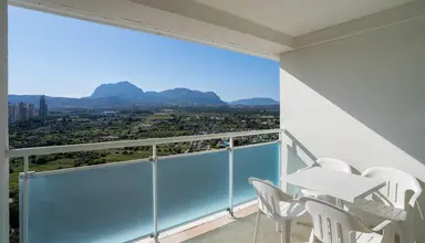 Flamingo Oasis