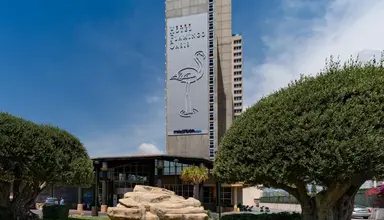 Flamingo Oasis