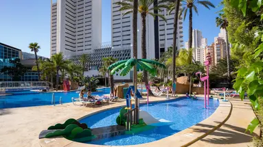 Flamingo Oasis
