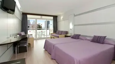 Flamingo Oasis