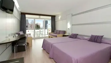 Flamingo Oasis