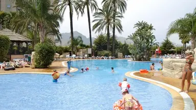 Flamingo Oasis