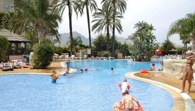 Flamingo Oasis