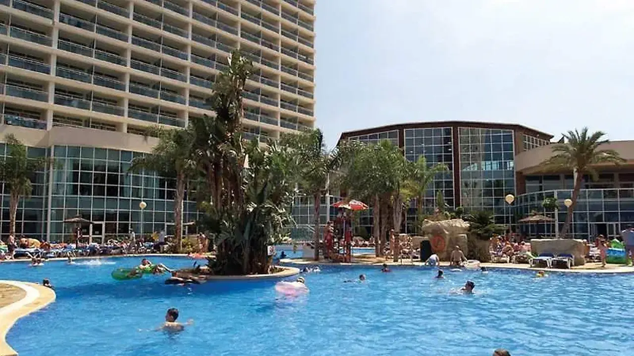 Flamingo Oasis